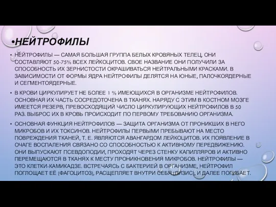 НЕЙТРОФИЛЫ НЕЙТРОФИЛЫ — САМАЯ БОЛЬШАЯ ГРУППА БЕЛЫХ КРОВЯНЫХ ТЕЛЕЦ, ОНИ СОСТАВЛЯЮТ 50-75%