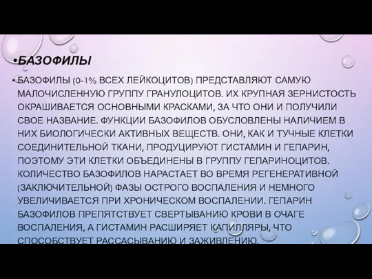 БАЗОФИЛЫ БАЗОФИЛЫ (0-1% ВСЕХ ЛЕЙКОЦИТОВ) ПРЕДСТАВЛЯЮТ САМУЮ МАЛОЧИСЛЕННУЮ ГРУППУ ГРАНУЛОЦИТОВ. ИХ КРУПНАЯ