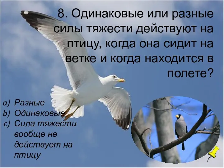 8. Одинаковые или разные силы тяжести действуют на птицу, когда она сидит