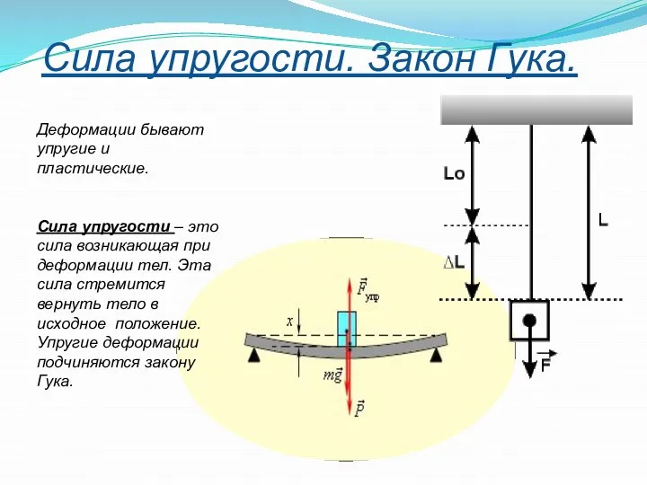 Сила упругости. Закон Гука. Деформации бывают упругие и пластические. Сила упругости –