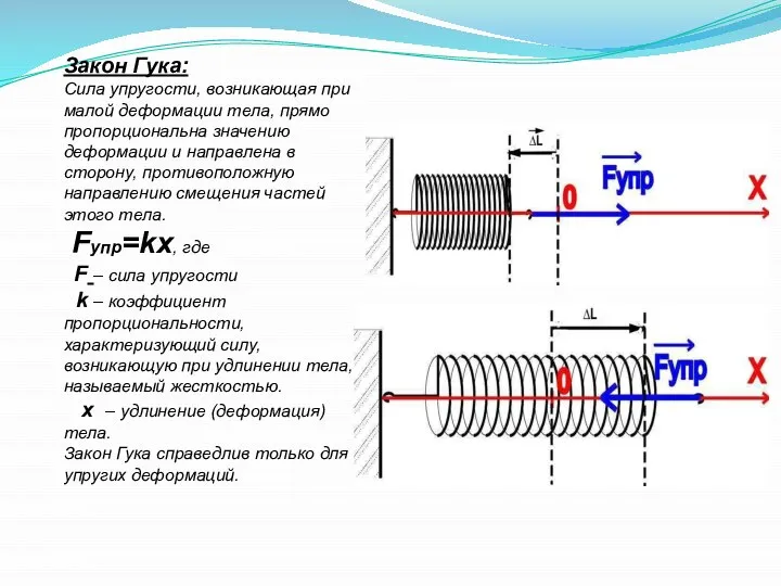 Закон Гука: Сила упругости, возникающая при малой деформации тела, прямо пропорциональна значению