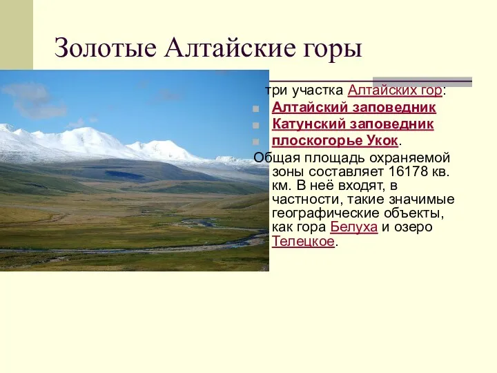 Золотые Алтайские горы три участка Алтайских гор: Алтайский заповедник Катунский заповедник плоскогорье