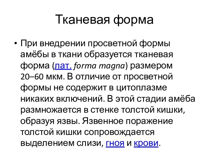 Тканевая форма При внедрении просветной формы амёбы в ткани образуется тканевая форма