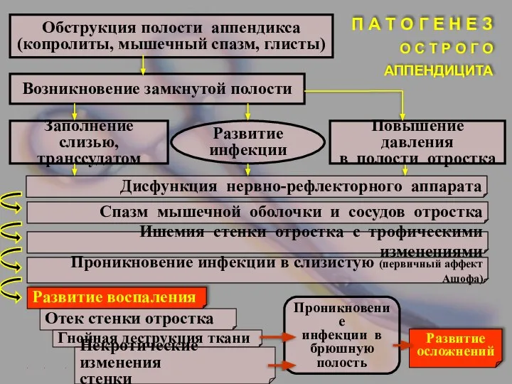 Обструкция полости аппендикса (копролиты, мышечный спазм, глисты) Возникновение замкнутой полости Заполнение слизью,