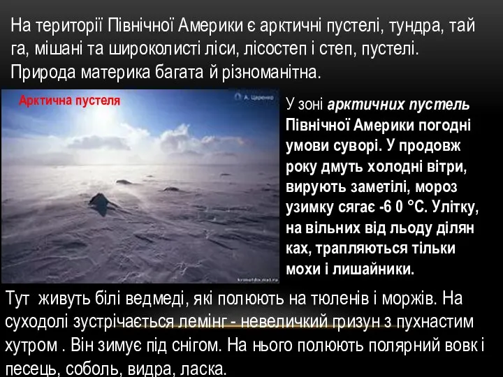 На території Північної Амери­ки є арктичні пустелі, тундра, тай­га, мішані та широколисті