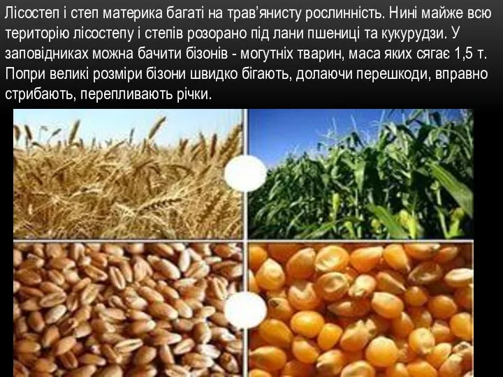 Лісостеп і степ материка багаті на трав’янисту рос­линність. Нині майже всю територію