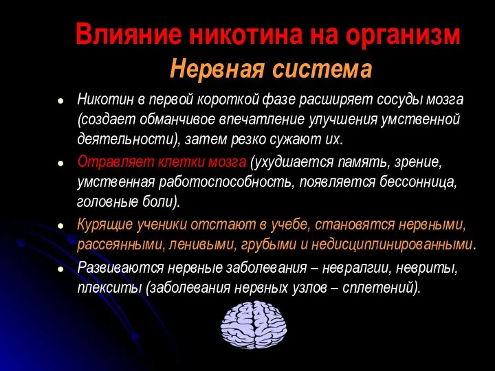 Нервная система Никотин в первой короткой фазе расширяет сосуды мозга (создает обманчивое