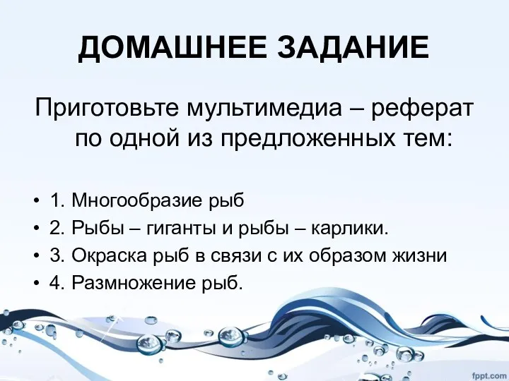 ДОМАШНЕЕ ЗАДАНИЕ Приготовьте мультимедиа – реферат по одной из предложенных тем: 1.