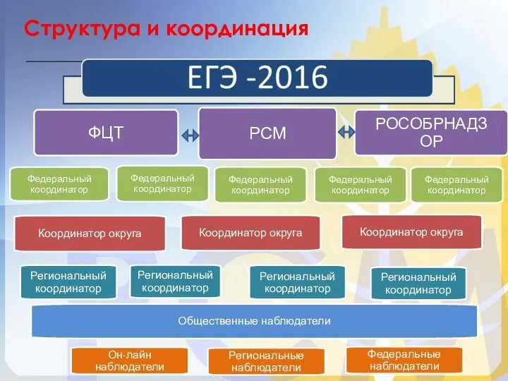 Структура и координация РОСОБРНАДЗОР ФЦТ Федеральный координатор Федеральный координатор Федеральный координатор Федеральный