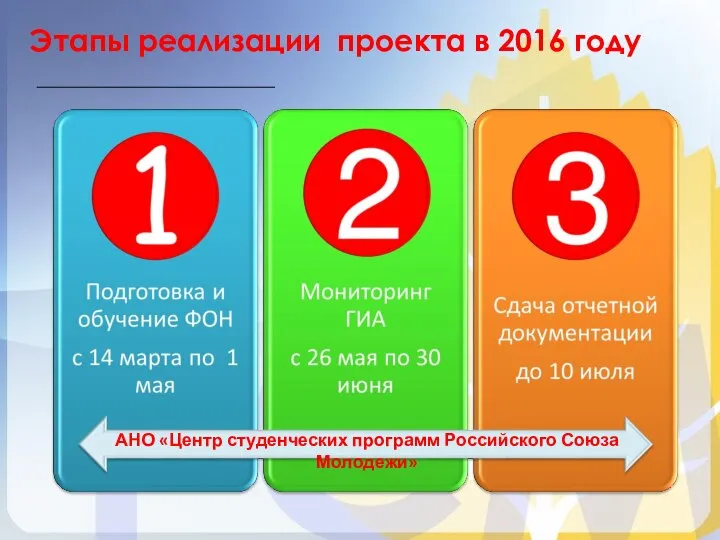 Этапы реализации проекта в 2016 году АНО «Центр студенческих программ Российского Союза Молодежи»