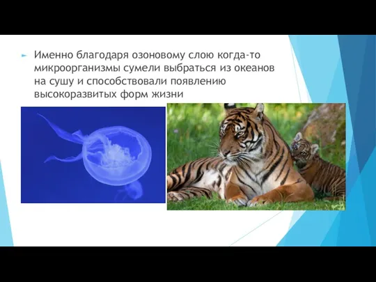 Именно благодаря озоновому слою когда-то микроорганизмы сумели выбраться из океанов на сушу