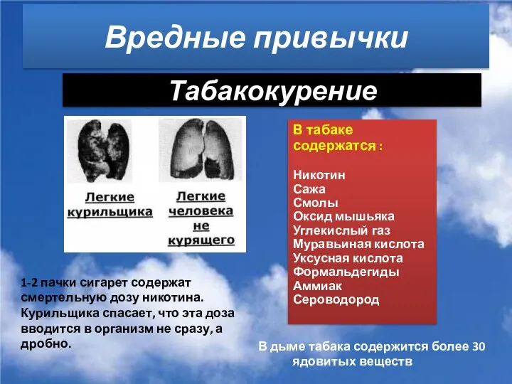 Табакокурение В табаке содержатся : Никотин Сажа Смолы Оксид мышьяка Углекислый газ