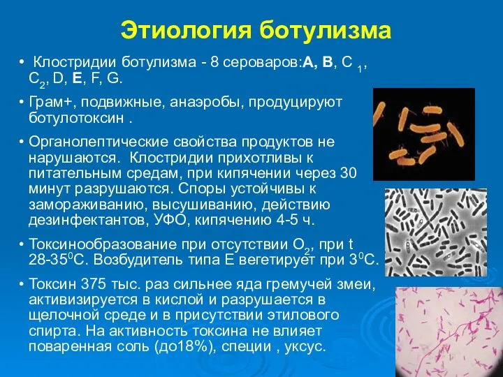Этиология ботулизма Клостридии ботулизма - 8 сероваров:A, B, C 1, С2, D,