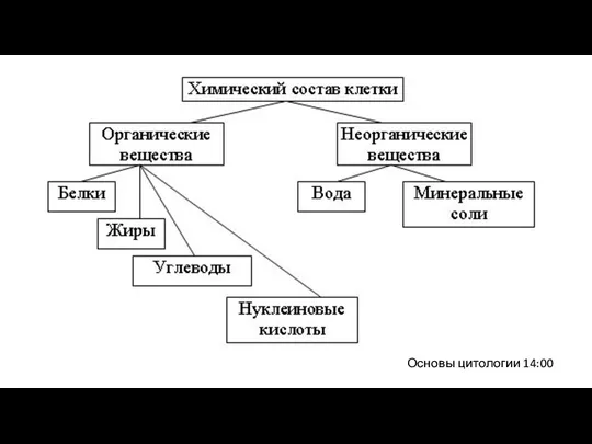 Основы цитологии 14:00