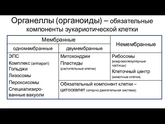 Органеллы (органоиды) – обязательные компоненты эукариотической клетки