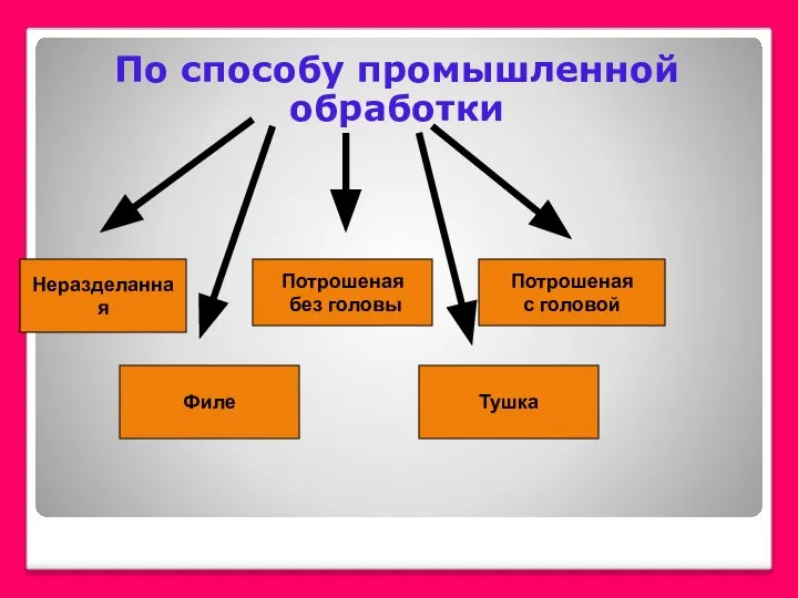 Неразделанная Потрошеная без головы Потрошеная с головой Тушка Филе По способу промышленной обработки