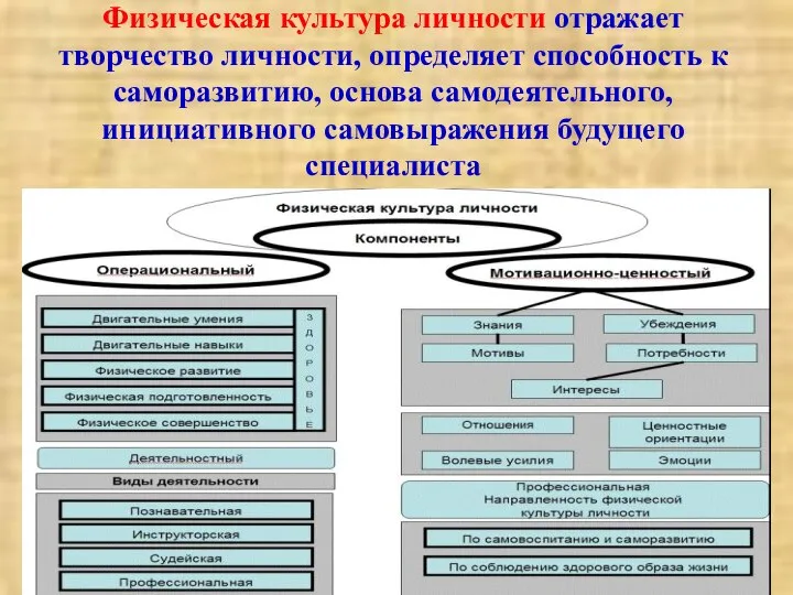 Н Физическая культура личности отражает творчество личности, определяет способность к саморазвитию, основа