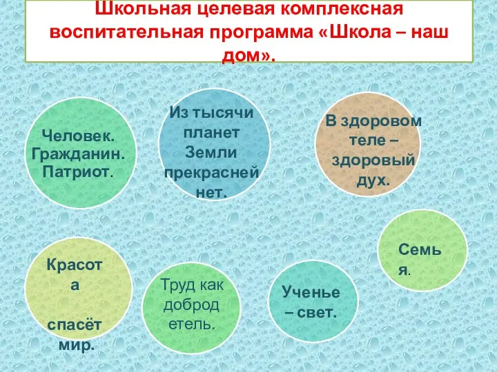 Школьная целевая комплексная воспитательная программа «Школа – наш дом». Красота спасёт мир.