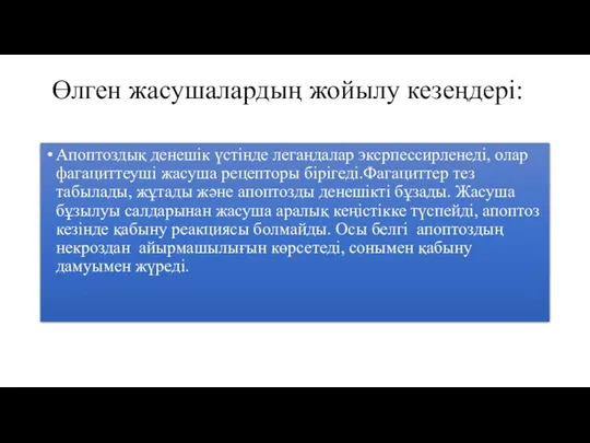 Өлген жасушалардың жойылу кезеңдері: Апоптоздық денешік үстінде легандалар эксрпессирленеді, олар фагациттеуші жасуша