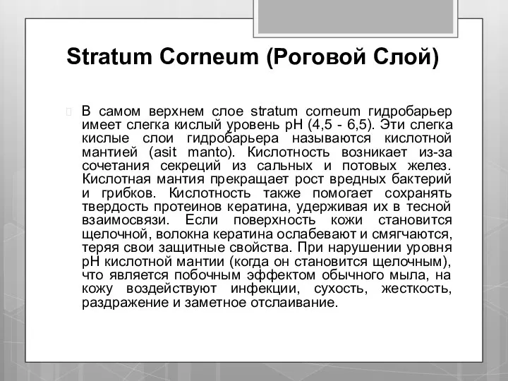 Stratum Corneum (Роговой Слой) В самом верхнем слое stratum corneum гидробарьер имеет