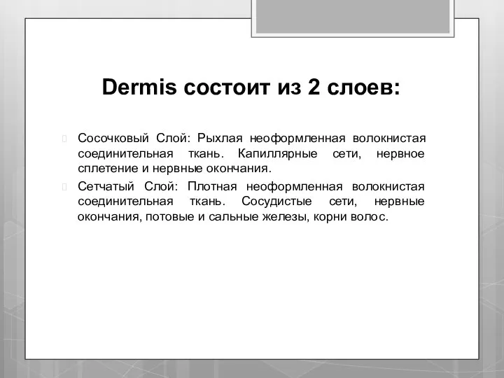 Dermis состоит из 2 слоев: Сосочковый Слой: Рыхлая неоформленная волокнистая соединительная ткань.