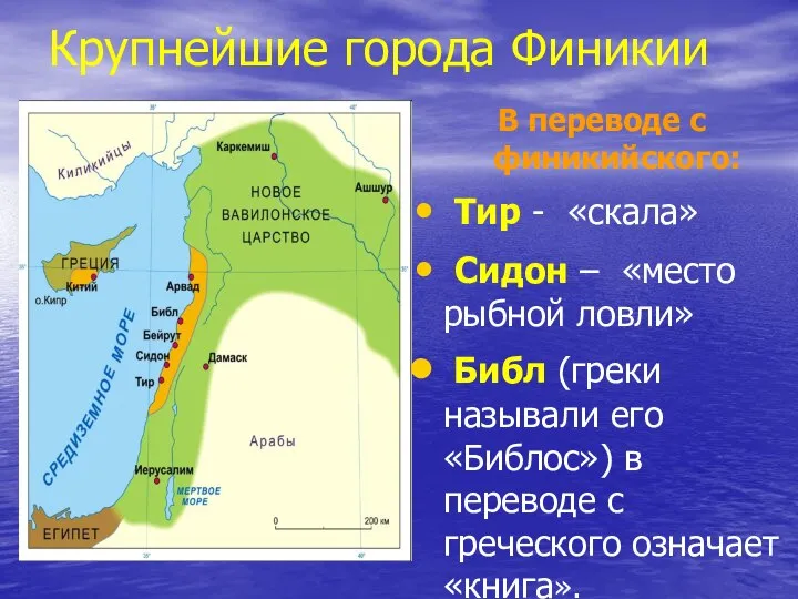 Крупнейшие города Финикии В переводе с финикийского: Тир - «скала» Сидон –