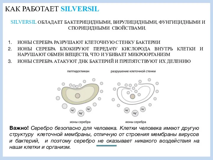 КАК РАБОТАЕТ SILVERSIL SILVERSIL ОБЛАДАЕТ БАКТЕРИЦИДНЫМИ, ВИРУЛИЦИДНЫМИ, ФУНГИЦИДНЫМИ И СПОРИЦИДНЫМИ СВОЙСТВАМИ. ИОНЫ