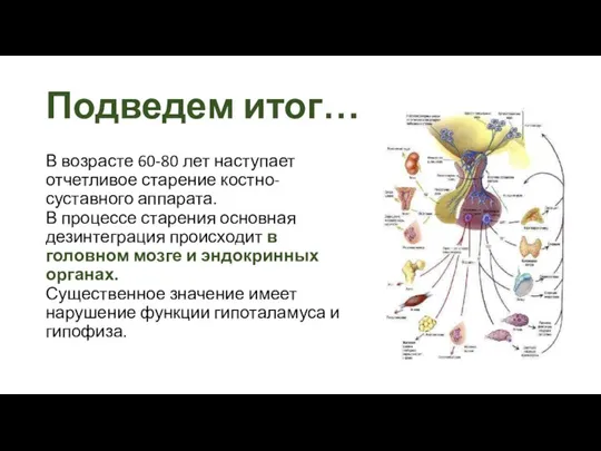 Подведем итог… В возрасте 60-80 лет наступает отчетливое старение костно-суставного аппарата. В