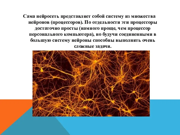 Сама нейросеть представляет собой систему из множества нейронов (процессоров). По отдельности эти