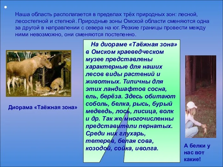 Наша область располагается в пределах трёх природных зон: лесной, лесостепной и степной.