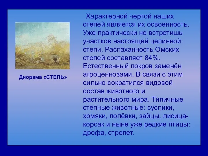 Характерной чертой наших степей является их освоенность. Уже практически не встретишь участков