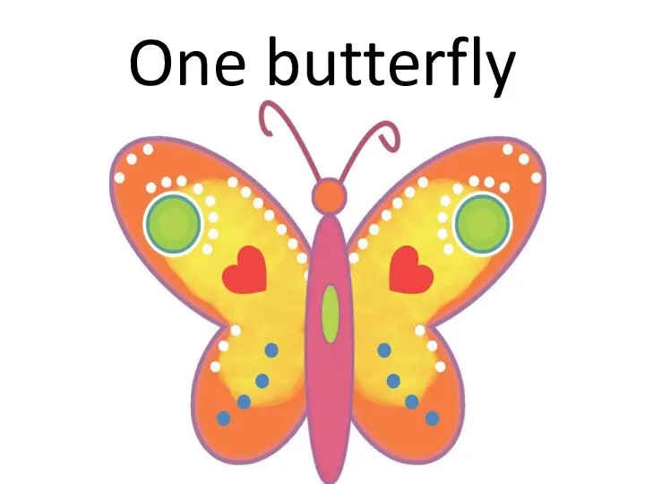 One butterfly