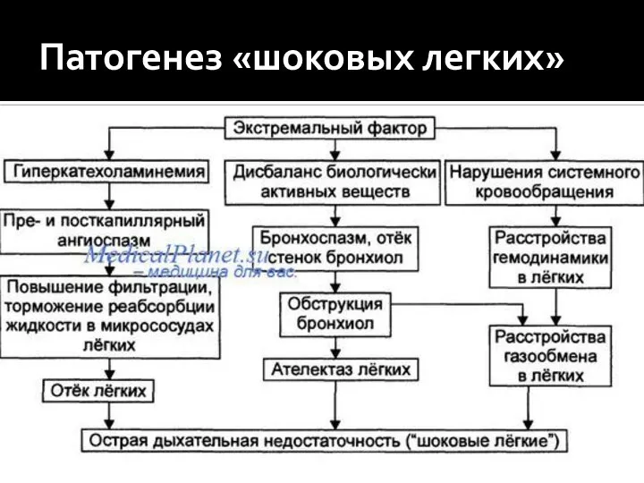 Патогенез «шоковых легких»