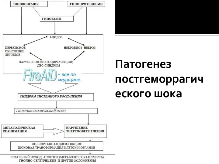 Патогенез постгеморрагического шока