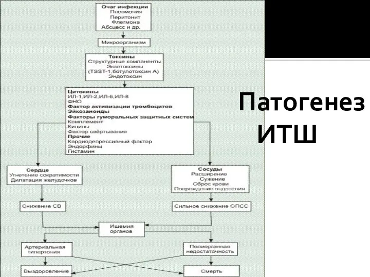 Патогенез ИТШ