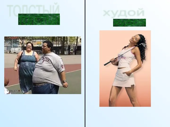 ТОЛСТЫЙ худой