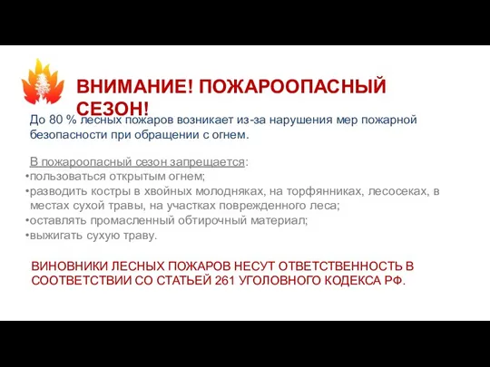 ВНИМАНИЕ! ПОЖАРООПАСНЫЙ СЕЗОН! До 80 % лесных пожаров возникает из-за нарушения мер