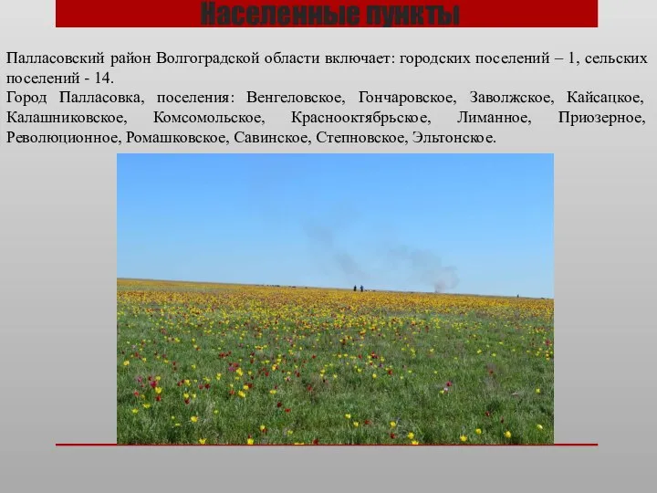 Населенные пункты Палласовский район Волгоградской области включает: городских поселений – 1, сельских