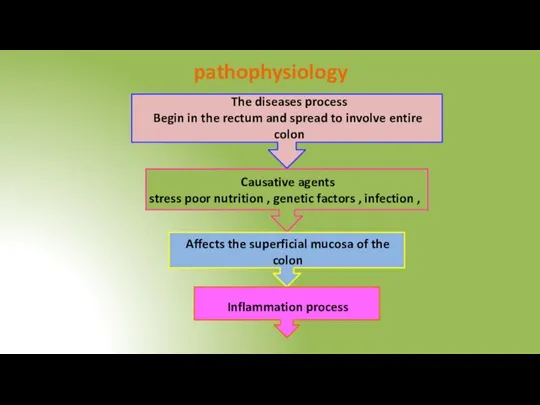 pathophysiology The diseases process Begin in the rectum and spread to involve
