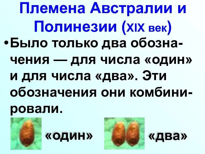 Племена Австралии и Полинезии (XIX век) Было только два обозна-чения — для