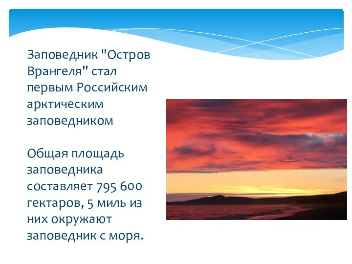 Заповедник "Остров Врангеля" стал первым Российским арктическим заповедником Общая площадь заповедника составляет