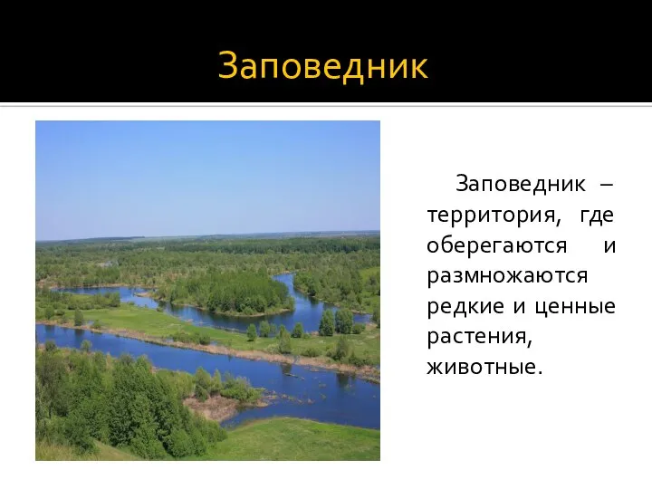 Заповедник Заповедник – территория, где оберегаются и размножаются редкие и ценные растения, животные.