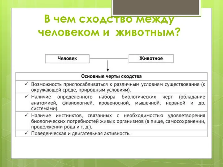 В чем сходство между человеком и животным?