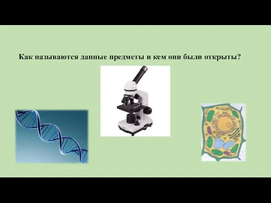 Как называются данные предметы и кем они были открыты?