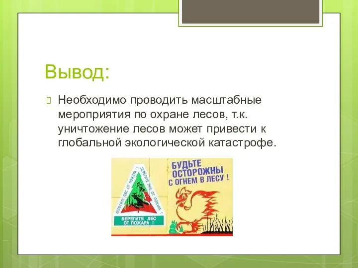 Вывод: Необходимо проводить масштабные мероприятия по охране лесов, т.к. уничтожение лесов может