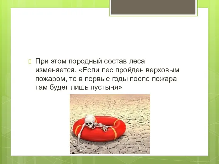 При этом породный состав леса изменяется. «Если лес пройден верховым пожаром, то