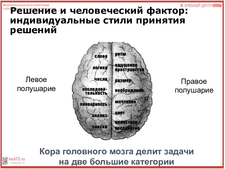 Решение и человеческий фактор: индивидуальные стили принятия решений Кора головного мозга делит