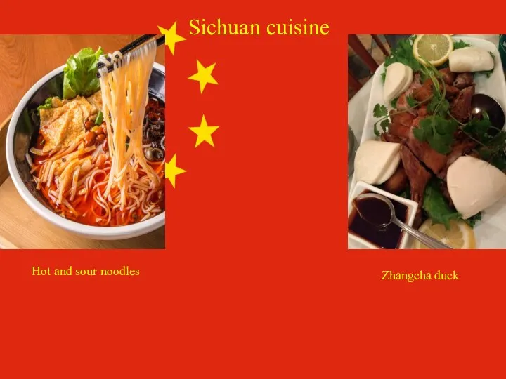 Sichuan cuisine Hot and sour noodles Zhangcha duck