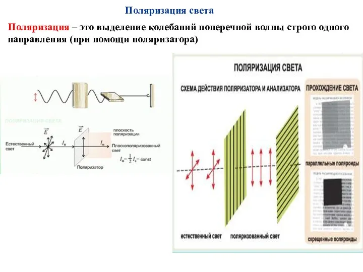 Поляризация – это выделение колебаний поперечной волны строго одного направления (при помощи поляризатора) Поляризация света