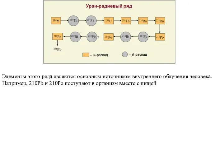 Элементы этого ряда являются основным источником внутреннего облучения человека. Например, 210Pb и